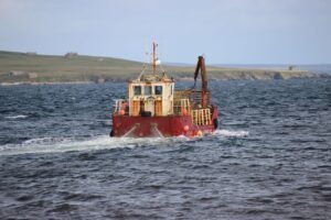 Ile kosztuje laweta policyjna