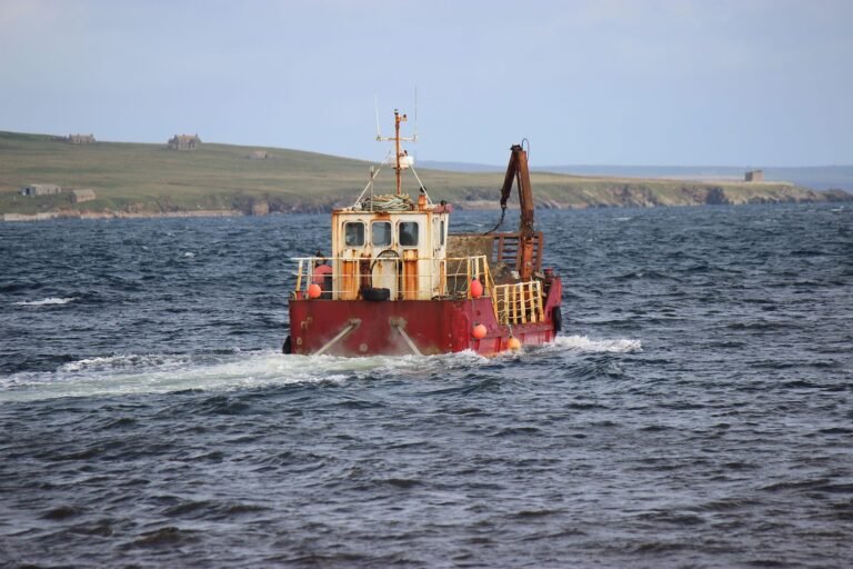 Ile kosztuje laweta policyjna