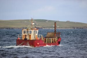 Ile waży laweta jednoosiowa